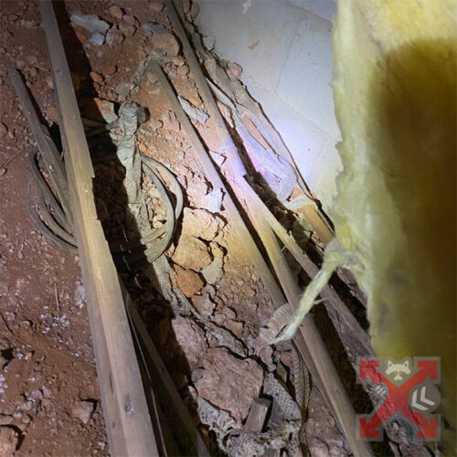 Snake Skin Under Home